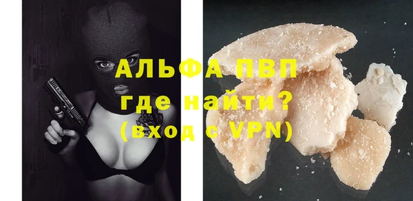 ГАЛЛЮЦИНОГЕННЫЕ ГРИБЫ Бородино