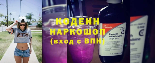 ГАЛЛЮЦИНОГЕННЫЕ ГРИБЫ Бородино