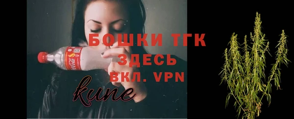 ГАЛЛЮЦИНОГЕННЫЕ ГРИБЫ Бородино