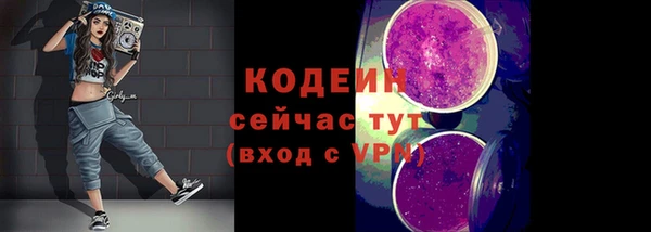 ГАЛЛЮЦИНОГЕННЫЕ ГРИБЫ Бородино