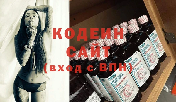 ГАЛЛЮЦИНОГЕННЫЕ ГРИБЫ Бородино