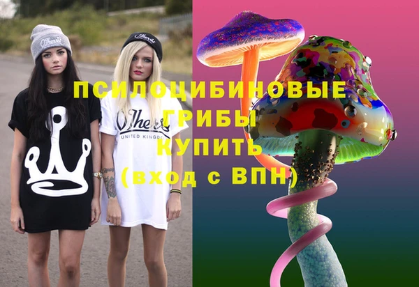 ешки Бронницы