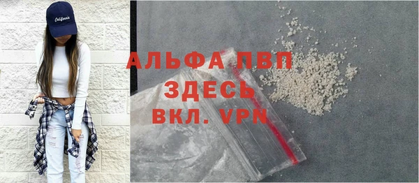 ГАЛЛЮЦИНОГЕННЫЕ ГРИБЫ Бородино