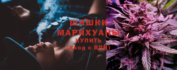 ешки Бронницы