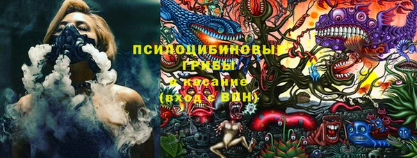 ешки Бронницы
