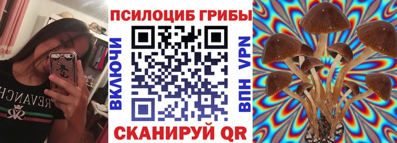 Галлюциногенные грибы Cubensis  blacksprut сайт  Чулым 